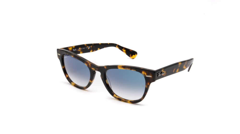 Ray- Ban LARAMIE Sunglasses