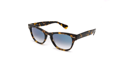 Ray- Ban LARAMIE Sunglasses