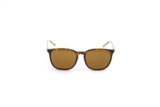 Ray-Ban RB4387