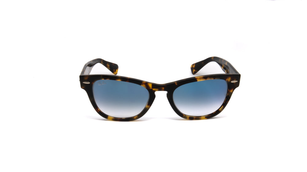 Ray- Ban LARAMIE Sunglasses