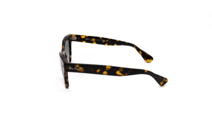 Ray- Ban LARAMIE Sunglasses