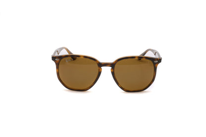 Ray-Ban RB4306 Sunglasses