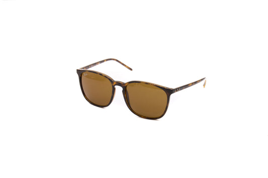 Ray-Ban RB4387 Sunglasses